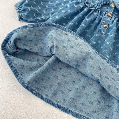 Spring and Autumn New Baby Clothing for 2-4 Years Old,   Baby GIRL  Dress, Bow Embroidered Long Sleeve Cowboy Skirt