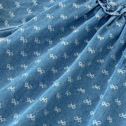 Spring and Autumn New Baby Clothing for 2-4 Years Old,   Baby GIRL  Dress, Bow Embroidered Long Sleeve Cowboy Skirt