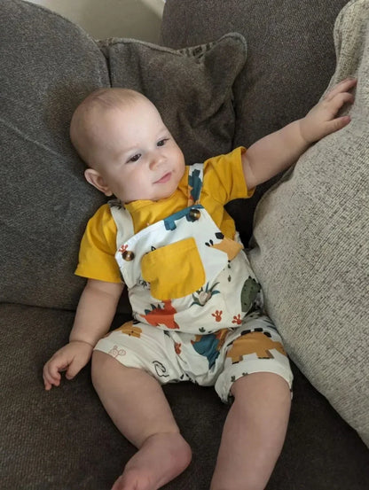 2PCS Toddler Baby Boy Cute Clothes Set New Summer Solid Tee Top and Dinosaur Printed Strap Pants Outfit for Boys 0 to 2Years